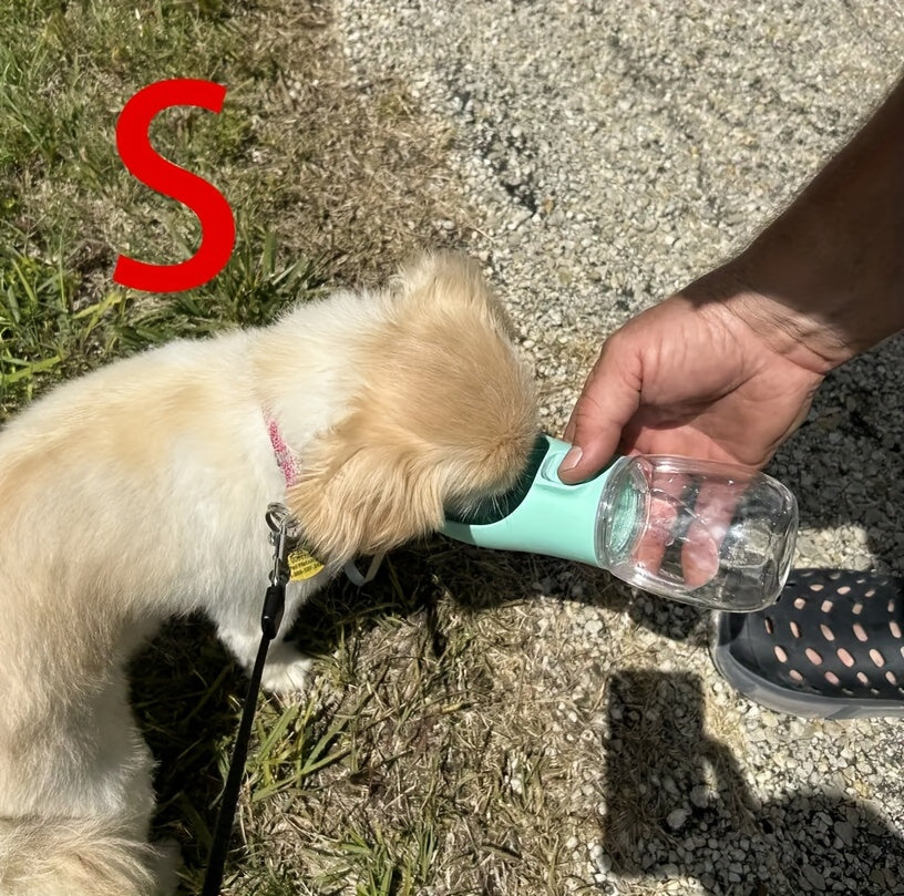 Portable Dog Water Dispenser