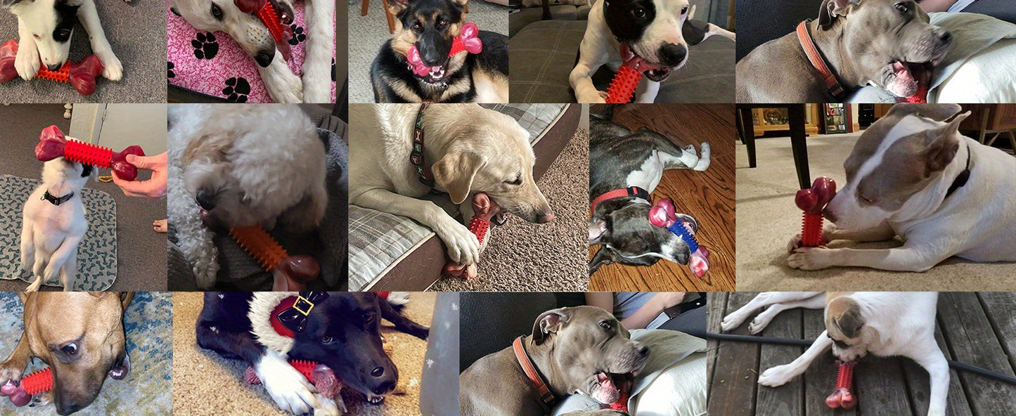 Tough Dog Toys | Large Breed