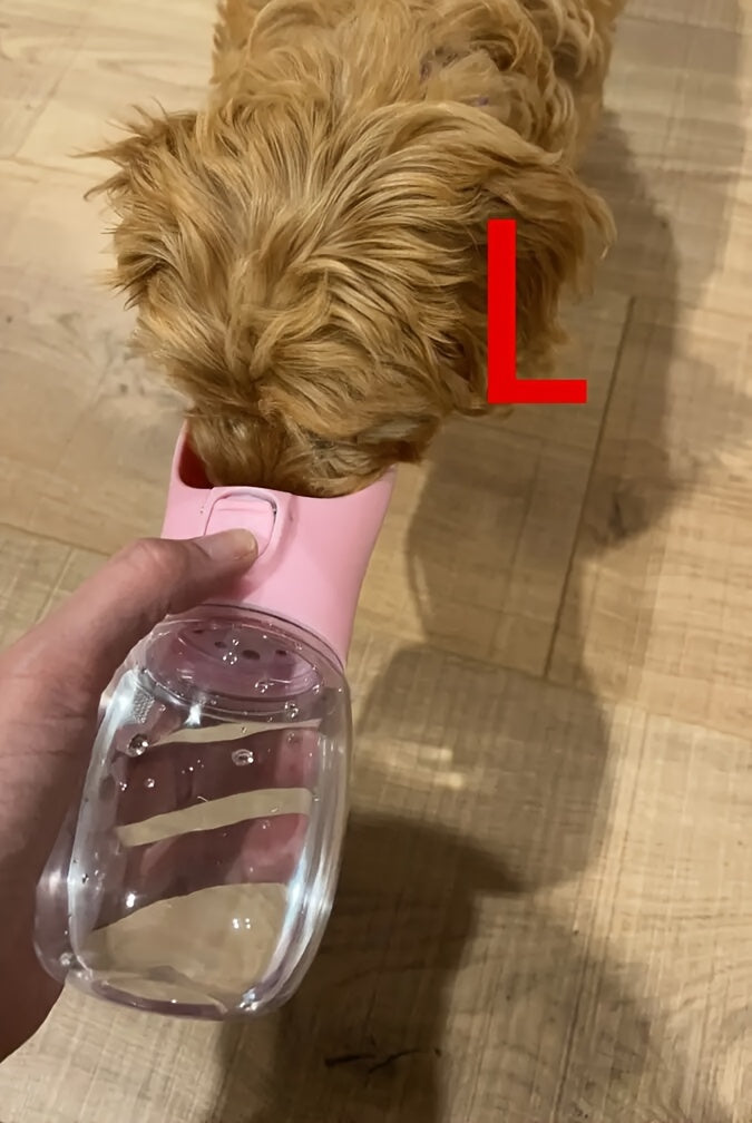 Portable Dog Water Dispenser