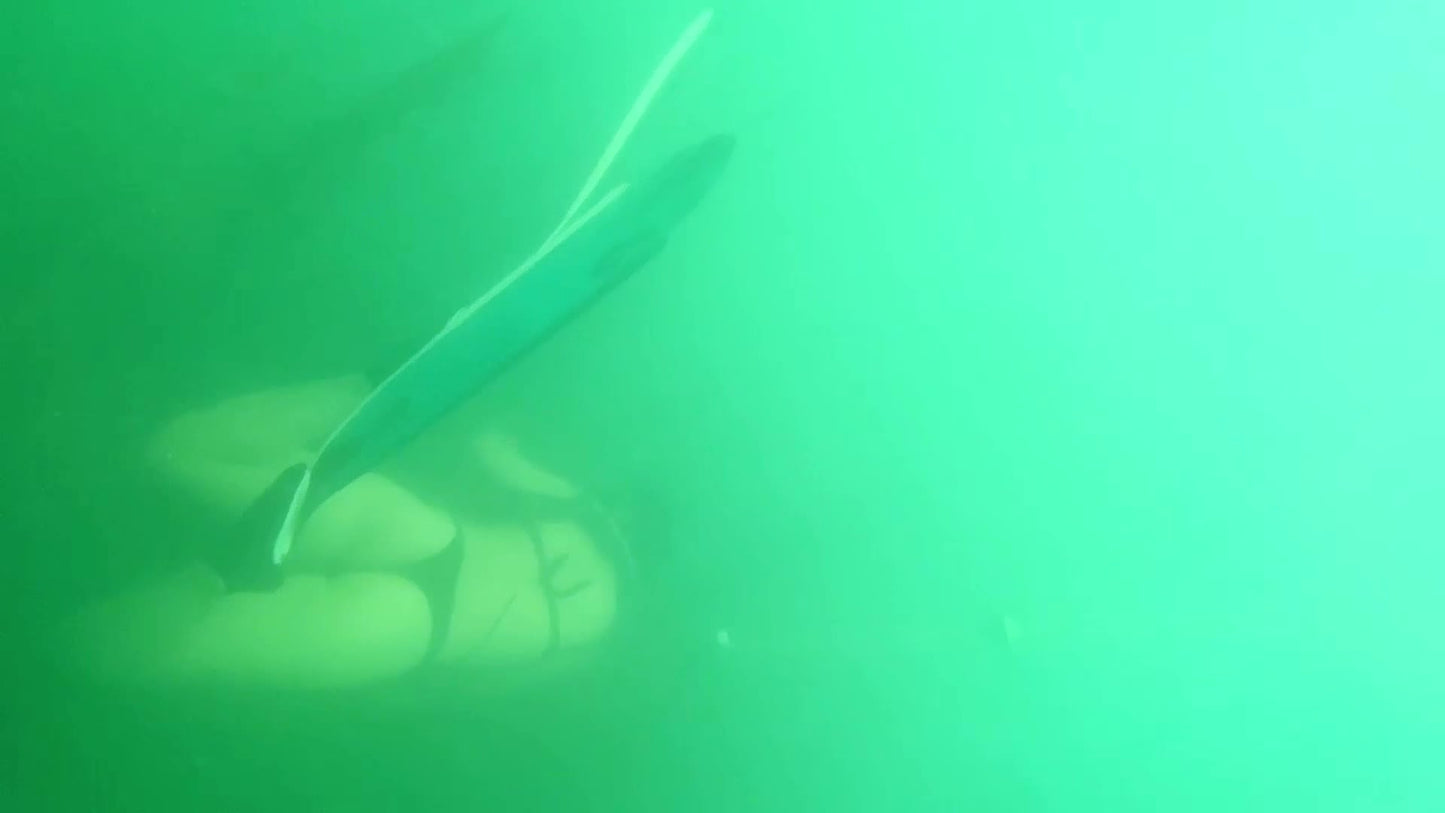 Water Proof Wireless Bone Conduction Earphone - ViralGenius Store