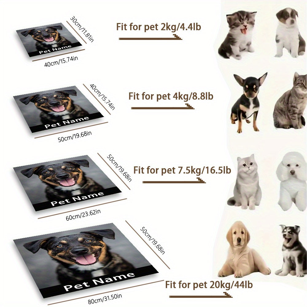 Custom Photo & Name Pet Feeding Mat