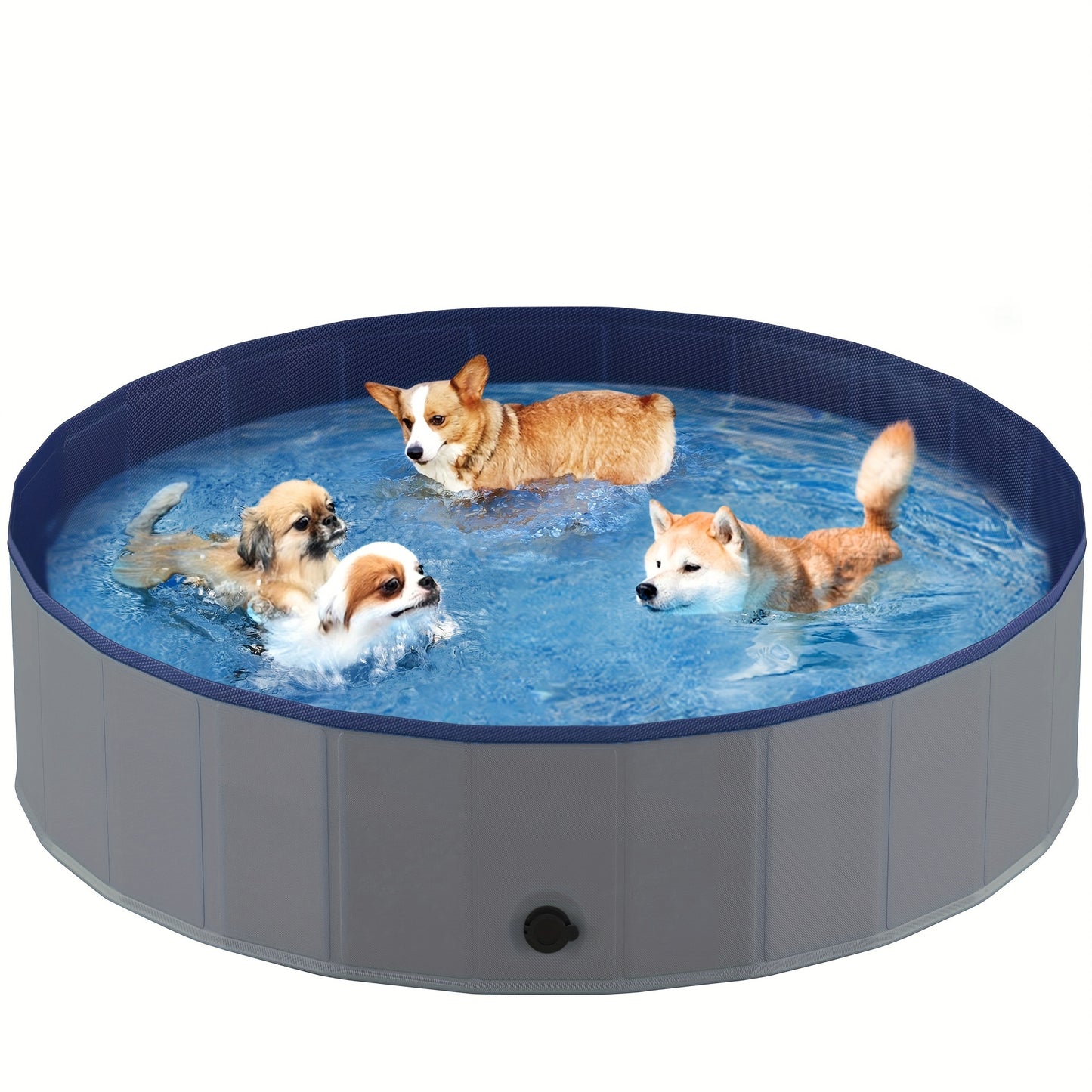 Portable Dog Pool