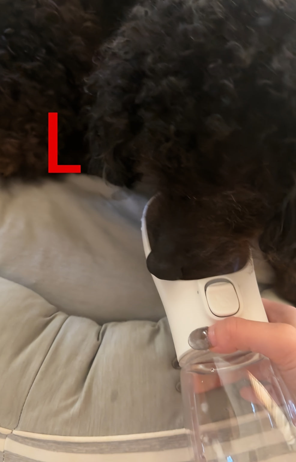 Portable Dog Water Dispenser - ViralGenius Store